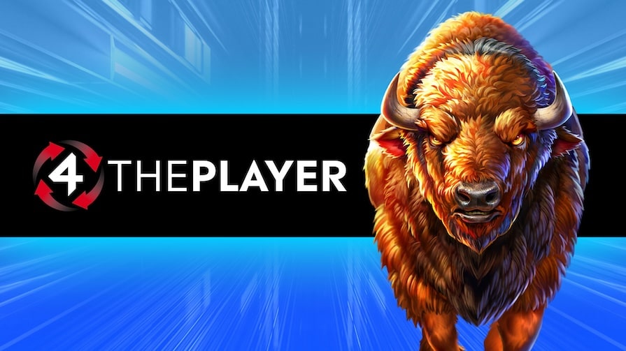 The Developer 4ThePlayer