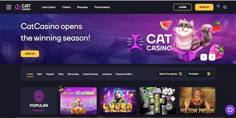 Cat Casino Review