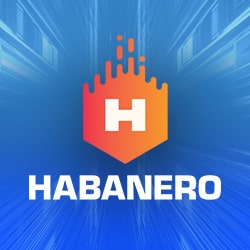 The Developer Habanero