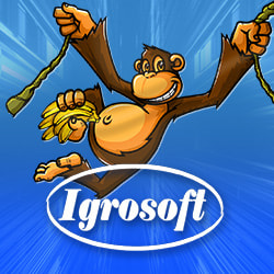 Провайдер Igrosoft