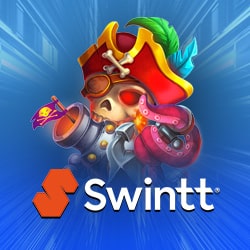 Провайдер Swintt