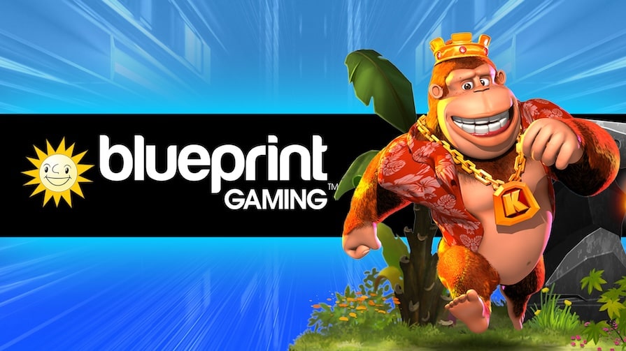 The Developer Blueprint Gaming