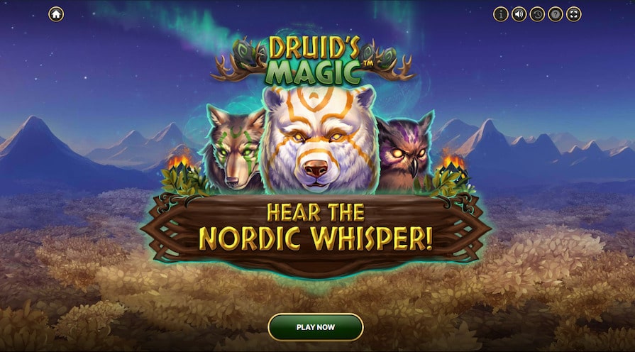 Бесплатная игра в Druid’s Magic