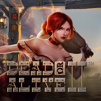 Dead or Alive 2  Slot