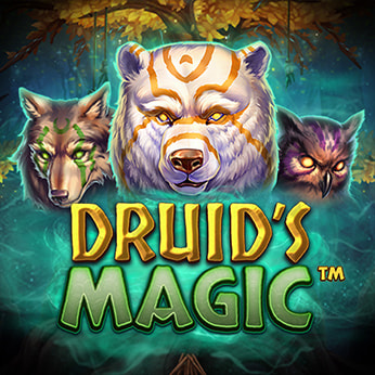 Druid’s Magic Slot