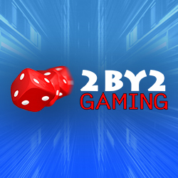 The Developer 2by2 Gaming