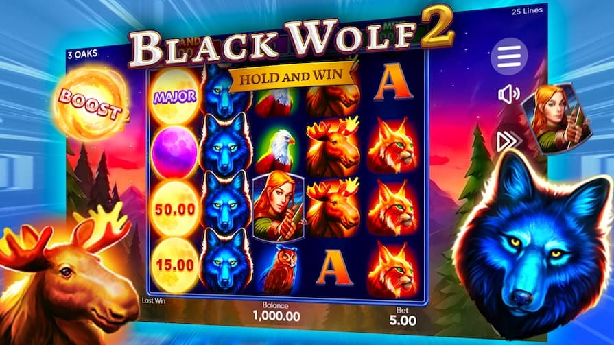 Сюжет Black Wolf 2 Hold and Win