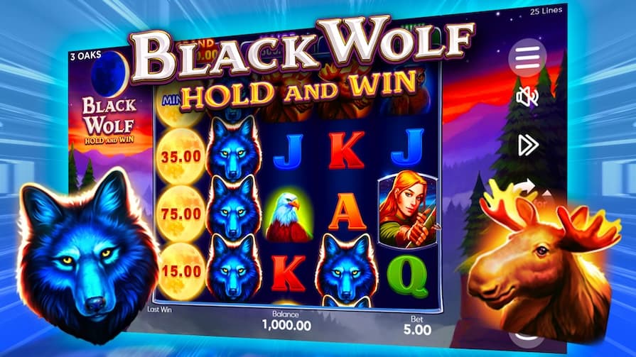 Сюжет Black Wolf Hold and Win