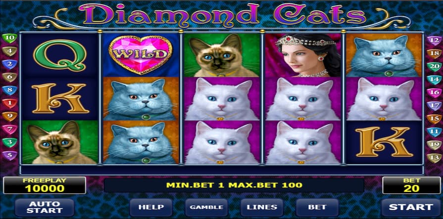 Обзор Diamond Cats