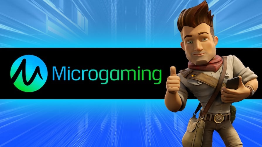 The Developer Microgaming