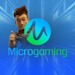 The Developer Microgaming