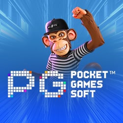 The Developer PG Soft