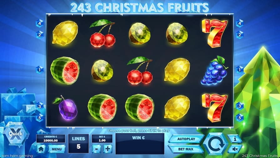 Слот 243 Christmas Fruits