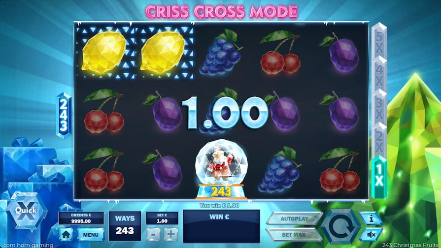 Дизайн игры 243 Christmas Fruits