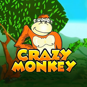  Crazy Monkey