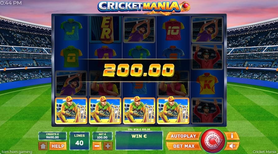 Дизайн игры Cricket Mania