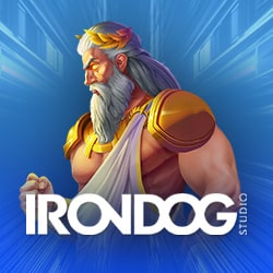 Провайдер Iron Dog Studio