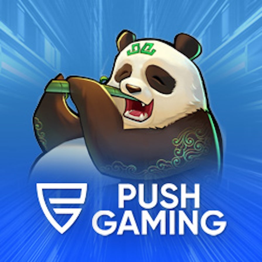 Провайдер Push Gaming